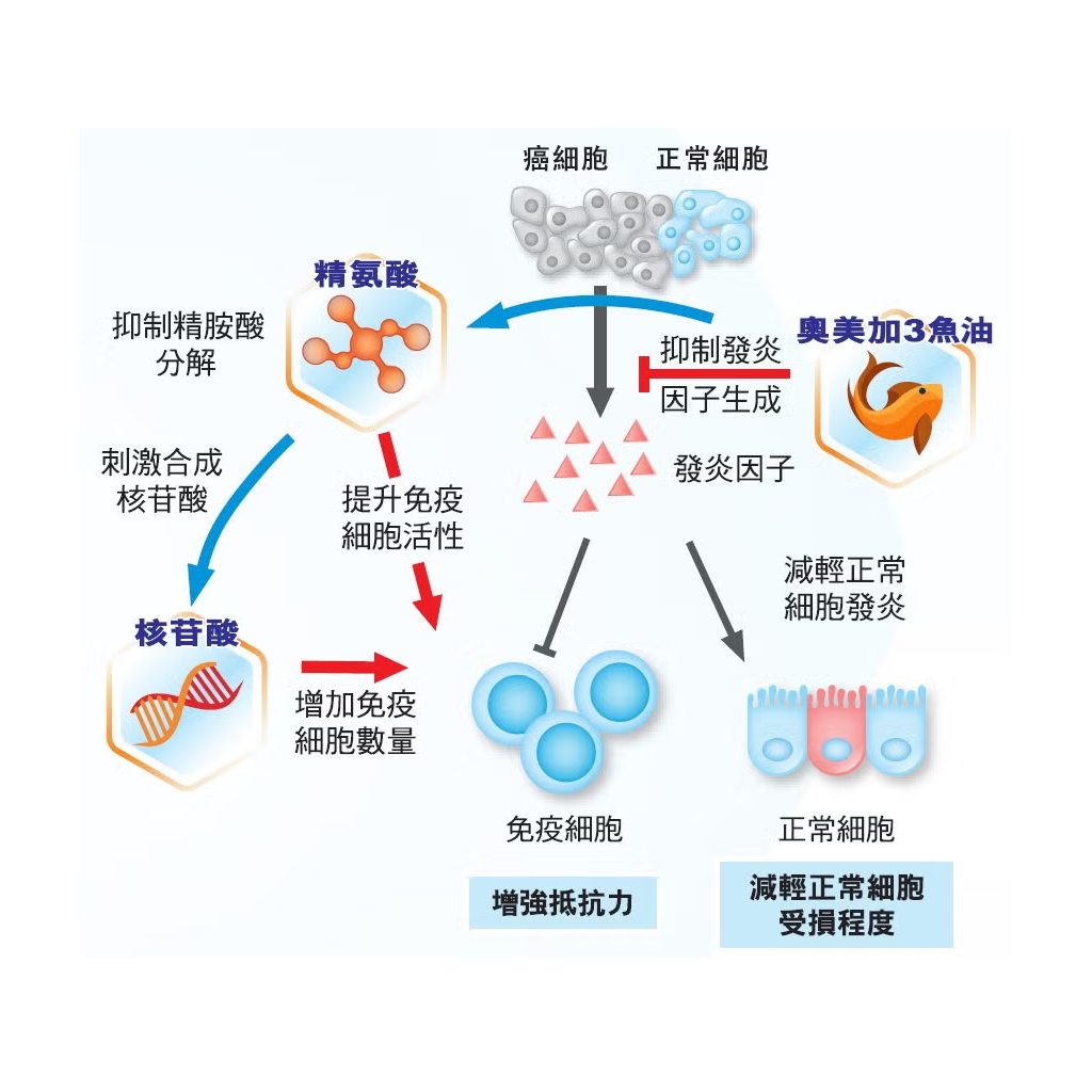 雀巢(Nestle)速癒素™Oral Impact™即飲裝250ml清淡水果味